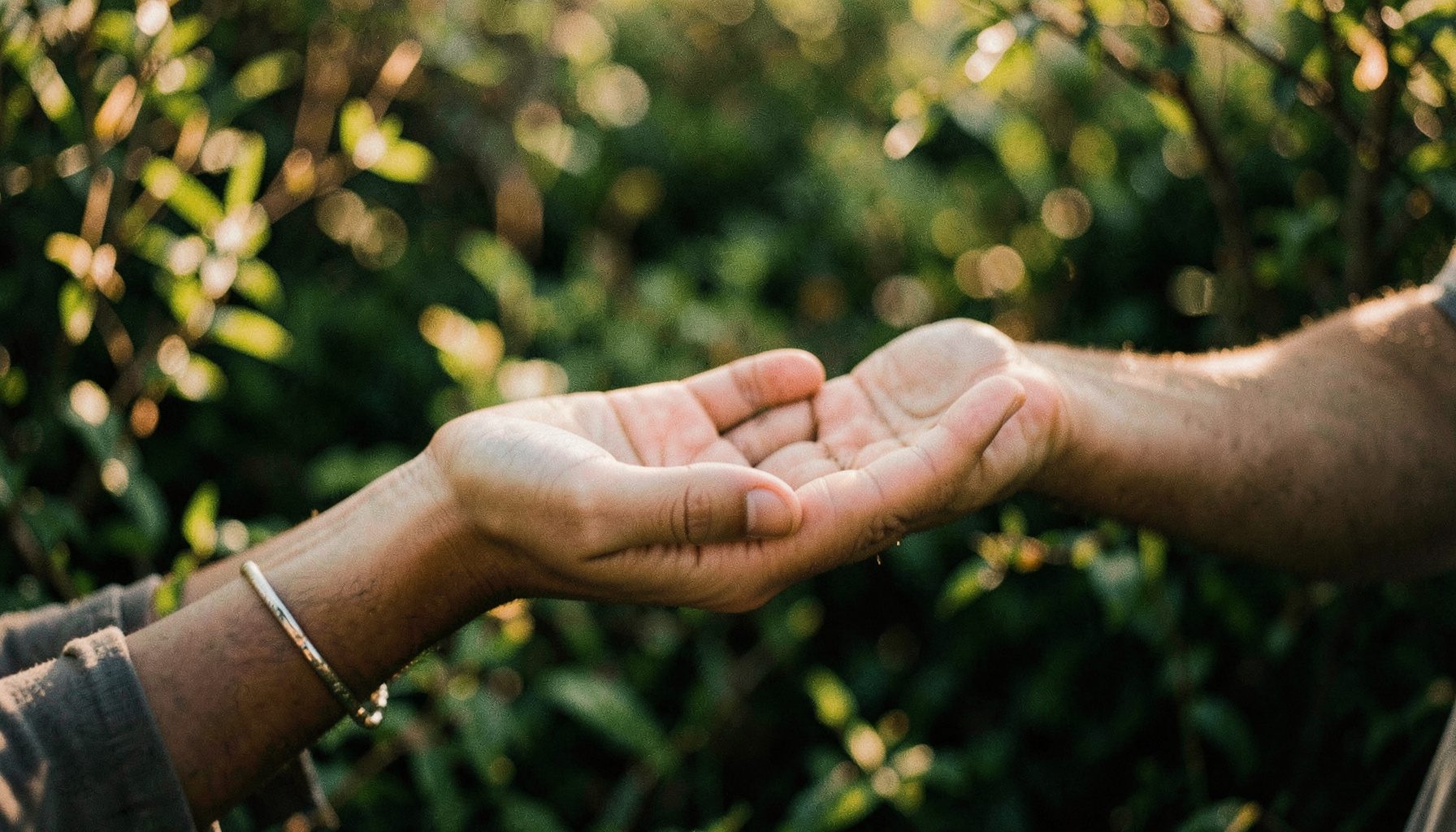 Mãos abertas em gesto de acolhimento, fundo desfocado de vegetação verde, luz natural quente de fim de tarde.